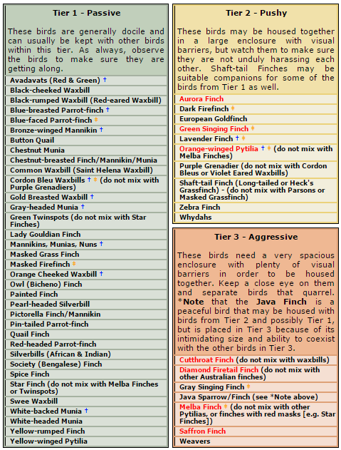 Bird Compatibility Chart