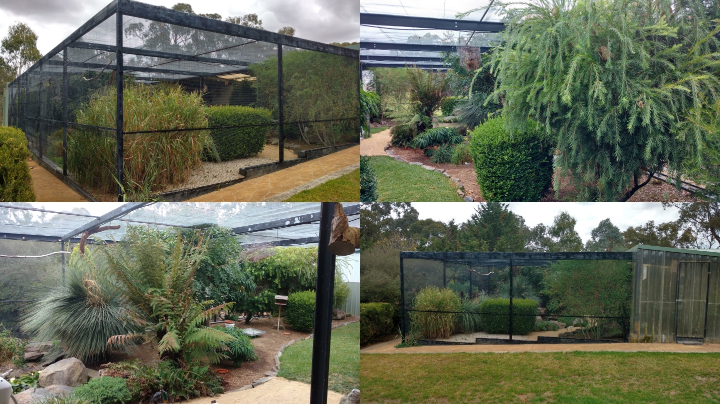 Finch aviary on sale