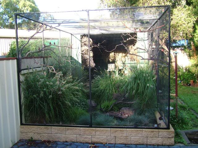 Finch aviary discount