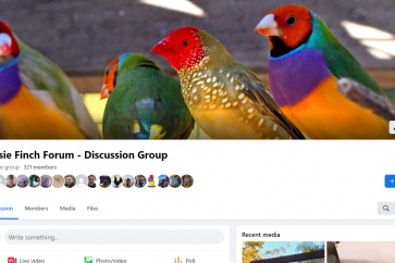 Join our new finch discussion group on Facebook